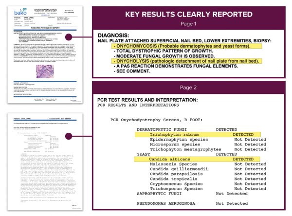 Sample Report